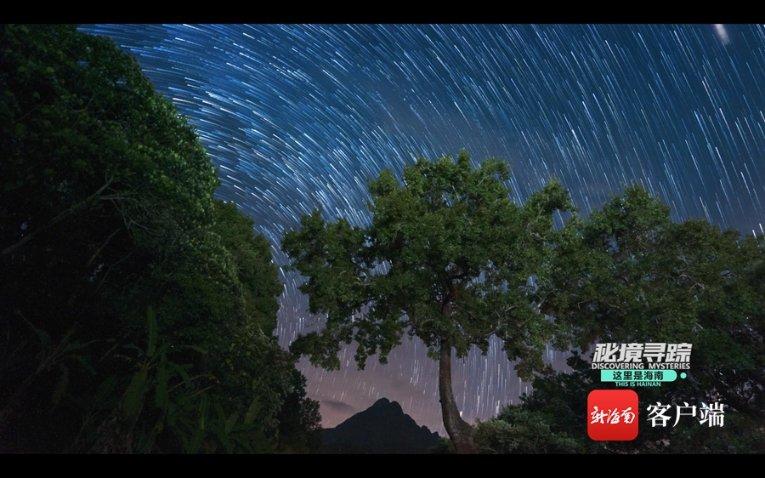 漫威蜘蛛侠