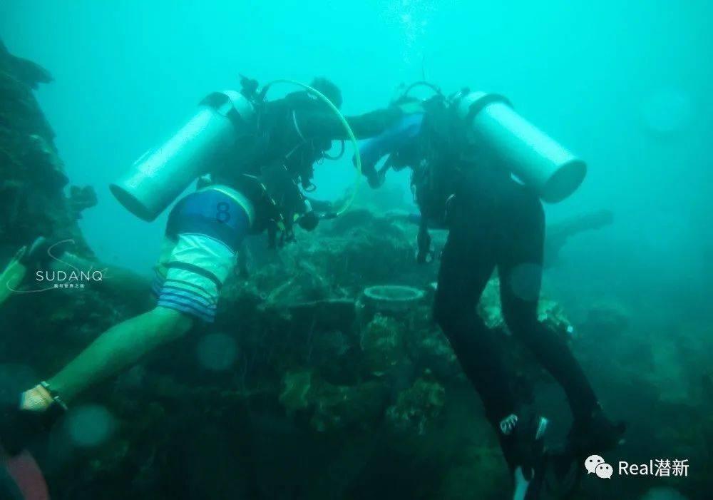 寻找沙漠珍宝
